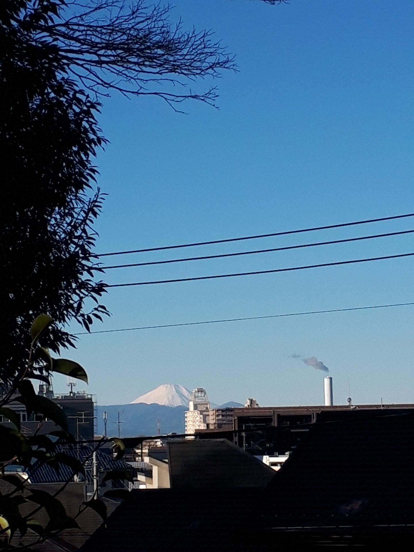 20190103_081237.jpg