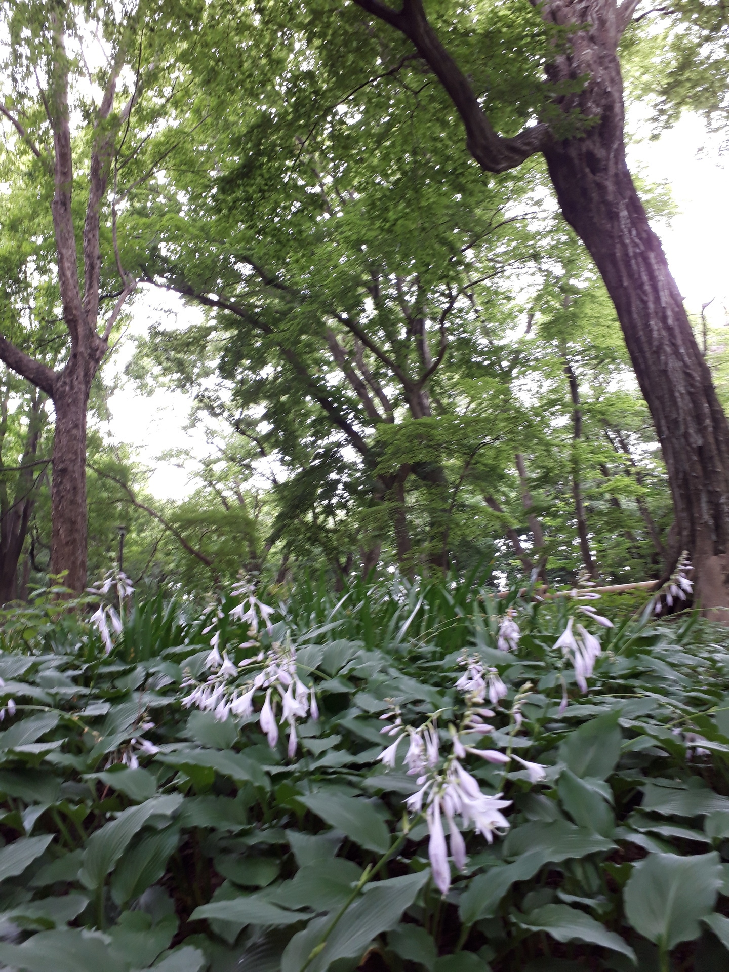 20190711_093246.jpg