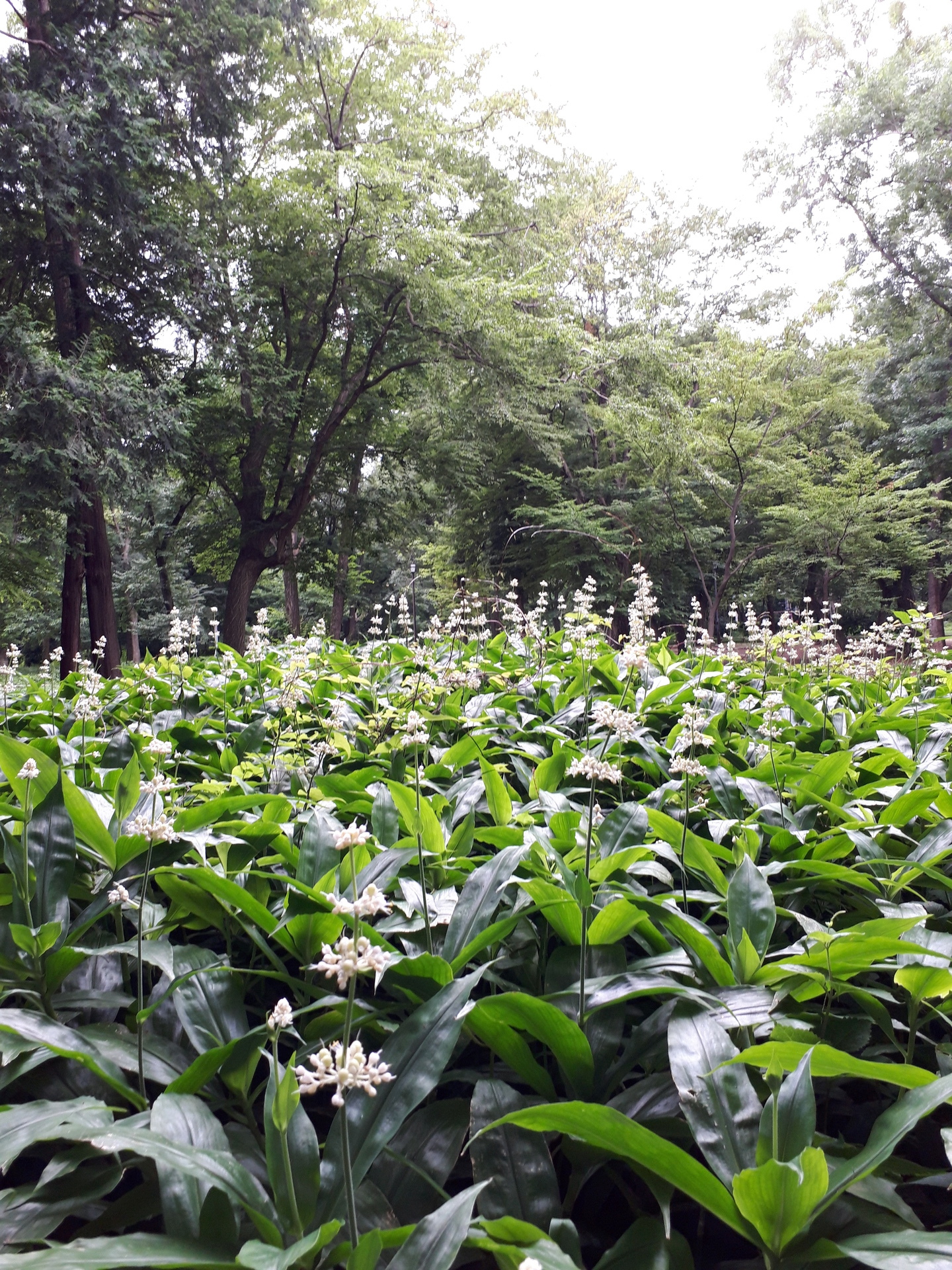 20190711_093403.jpg