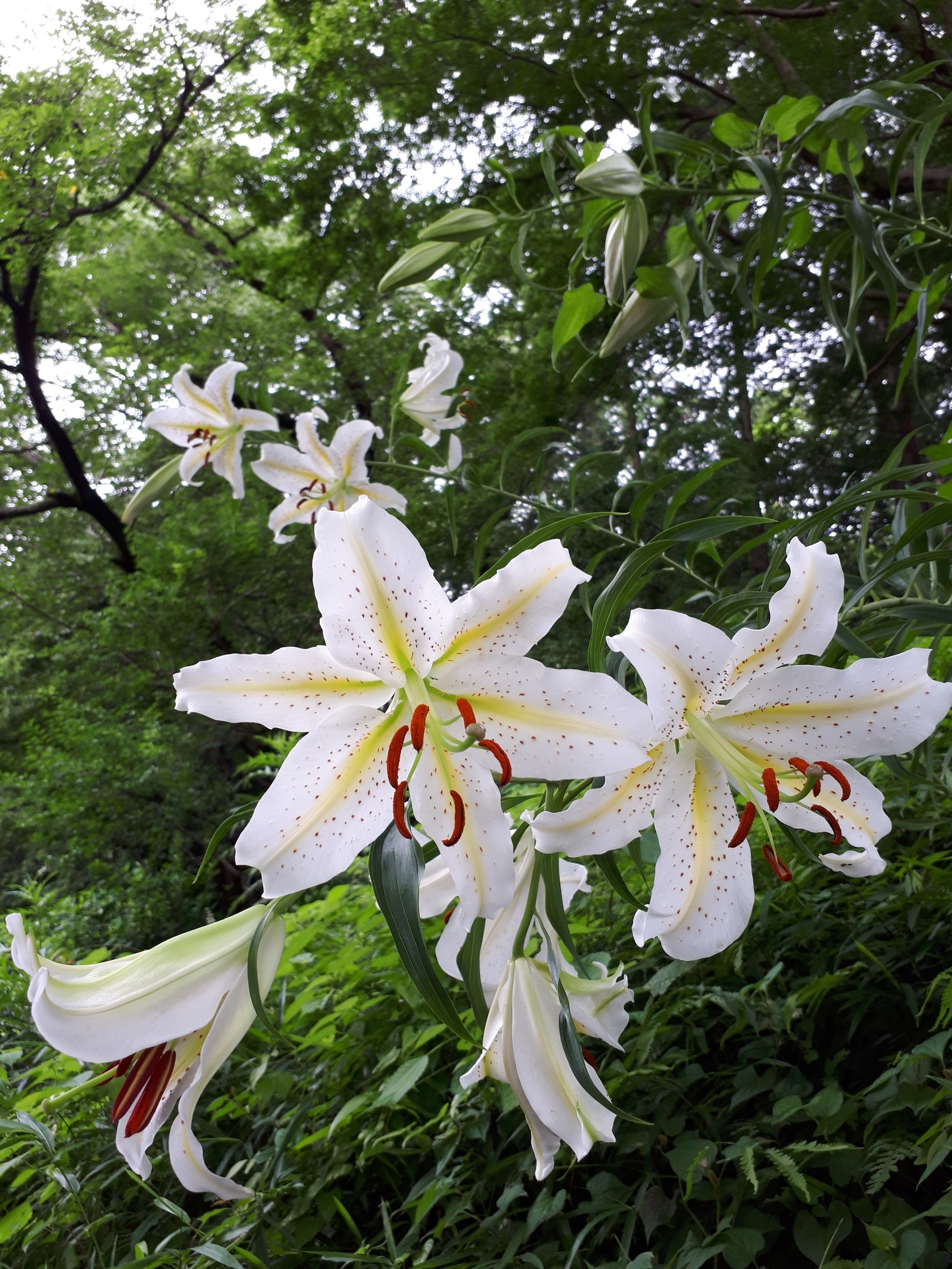20190711_094549.jpg
