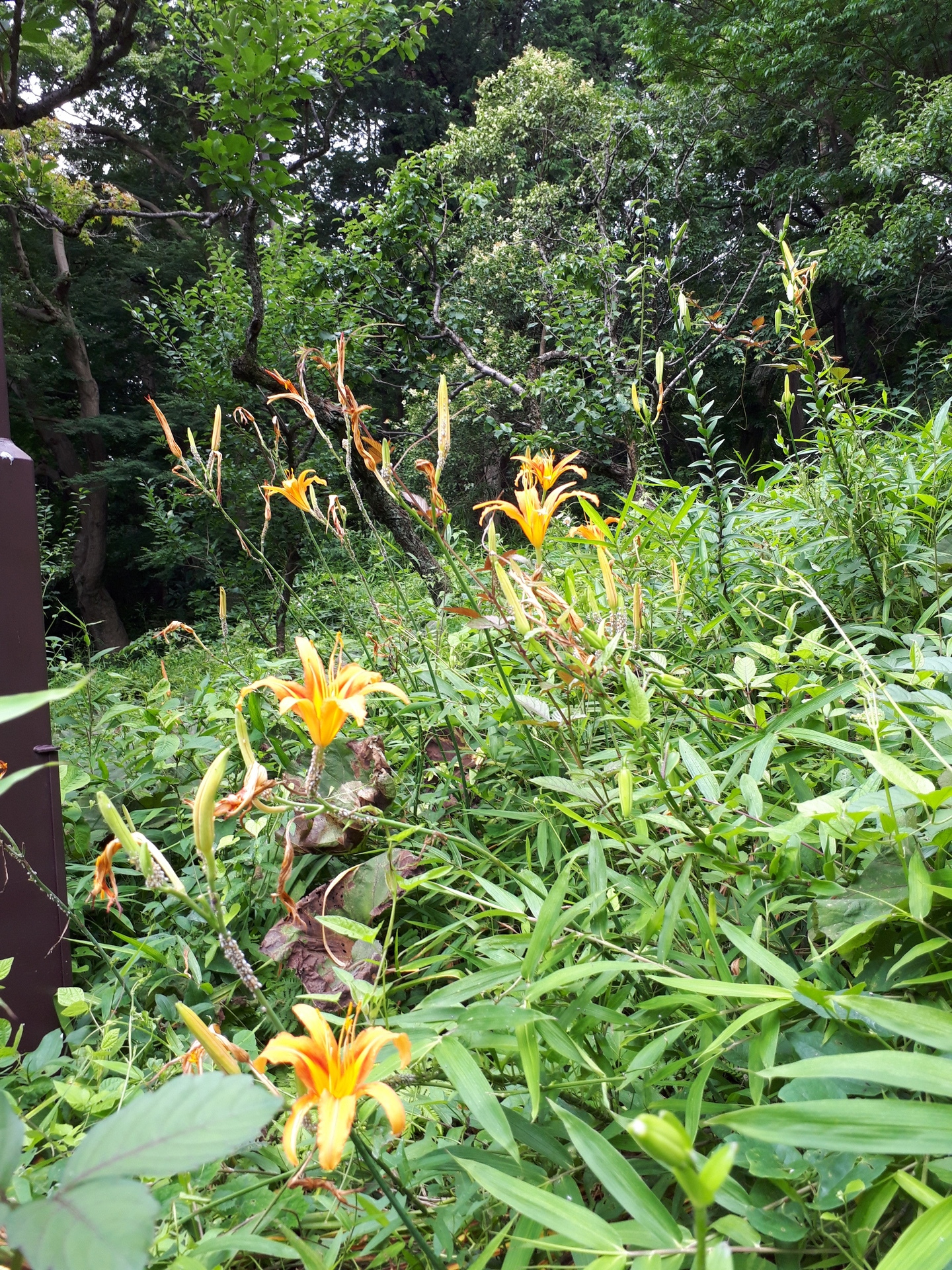 20190711_094649.jpg