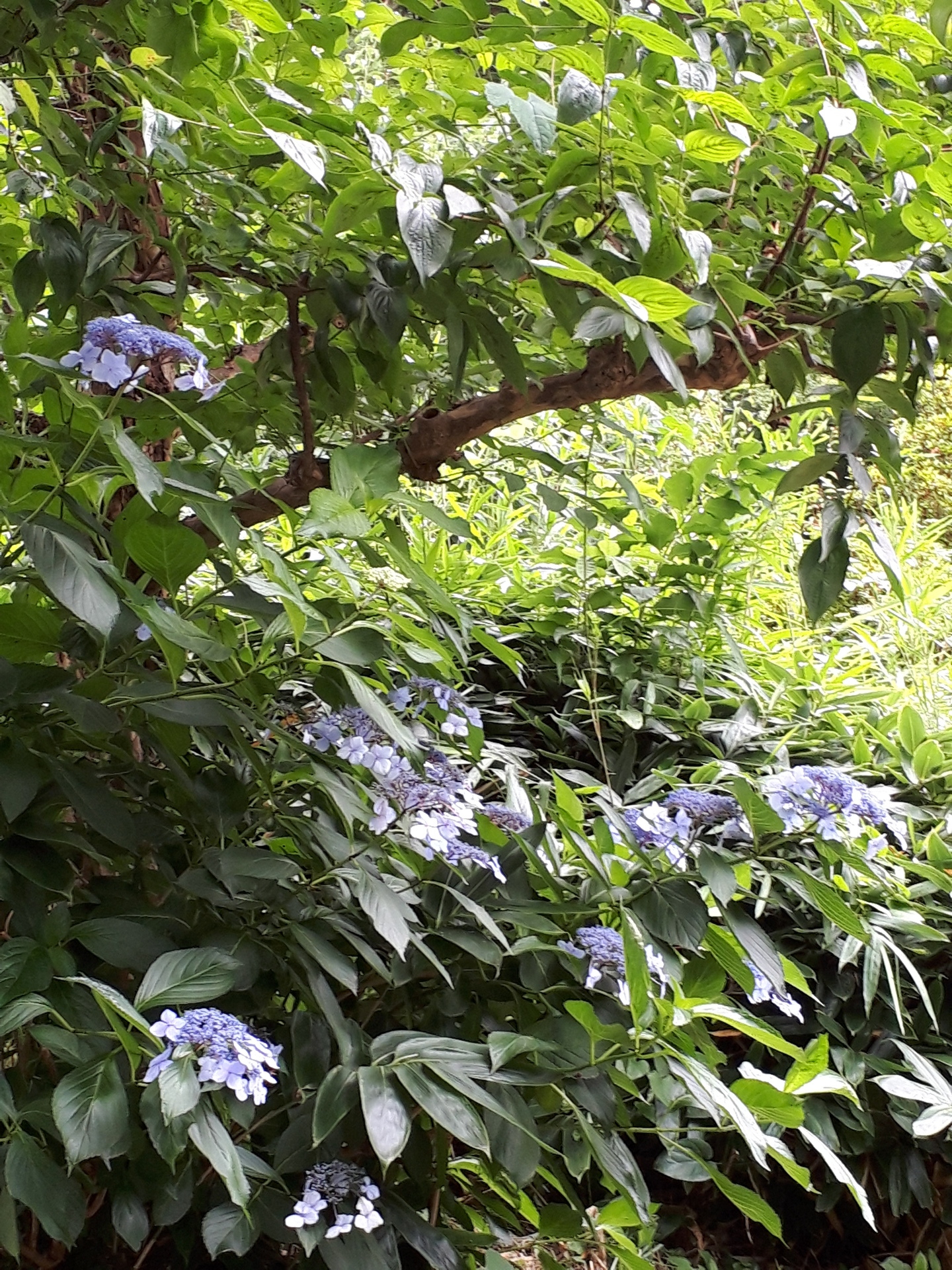 20190711_094717.jpg