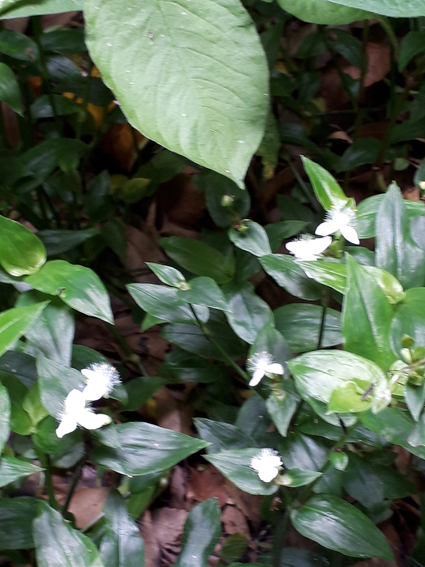 20190711_094837.jpg