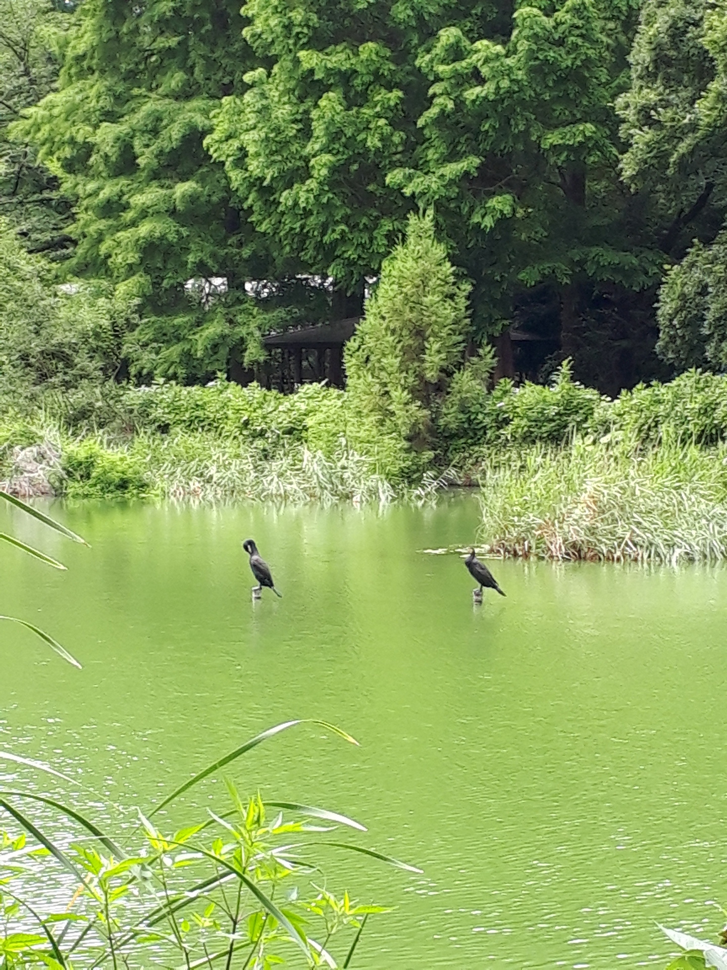 20190711_095137.jpg